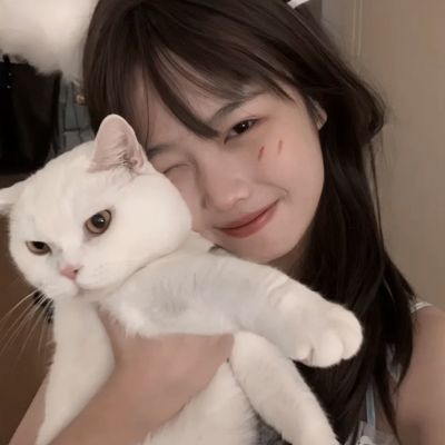 皇冠正规娱乐平台app下载