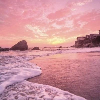 足球赌注软件手机app下载截图