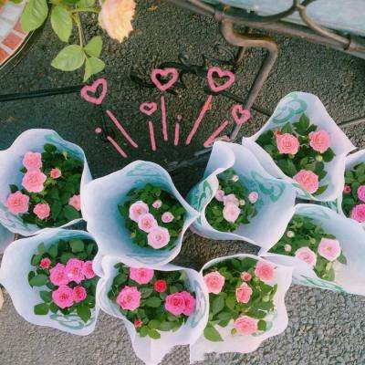 一码一肖100准资料应用下载手机版截图