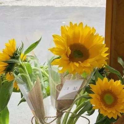 乐鱼游戏app在线登录app下载