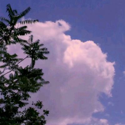 乐鱼·体育中国官方入口